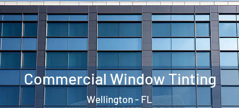  Commercial Window Tinting Wellington - FL