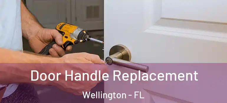  Door Handle Replacement Wellington - FL