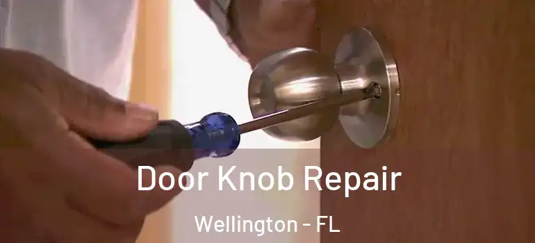  Door Knob Repair Wellington - FL