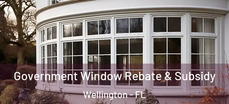  Government Window Rebate & Subsidy Wellington - FL