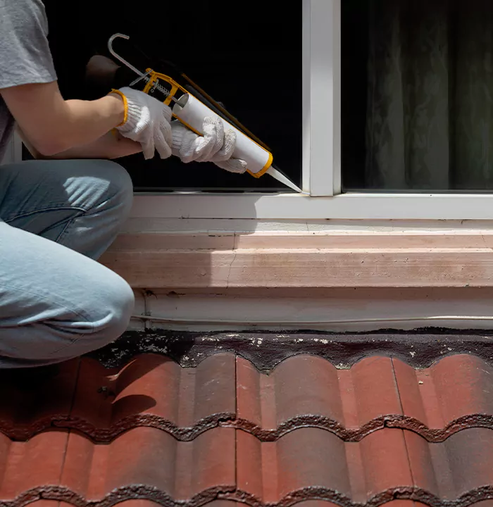 Roof Window Services in Wellington, Florida