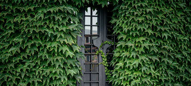 Garden Gate Repair in Wellington, FL