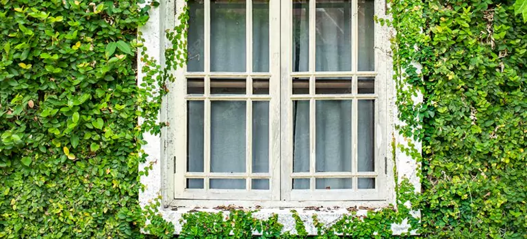 Garden Window Repair Near Me in Wellington, FL