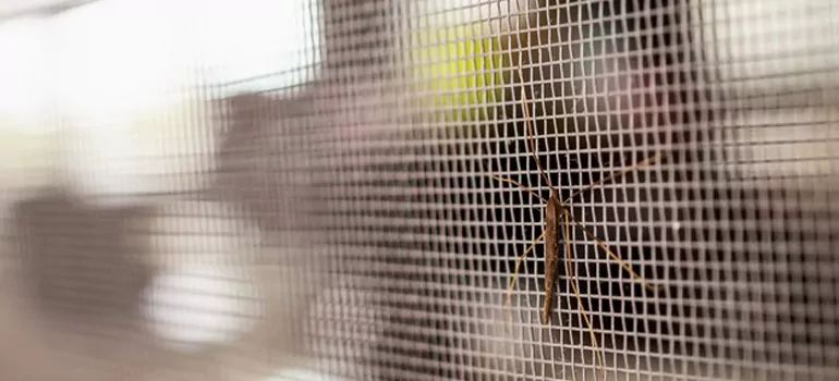 Repair Mosquito Mesh For Windows in Wellington, FL