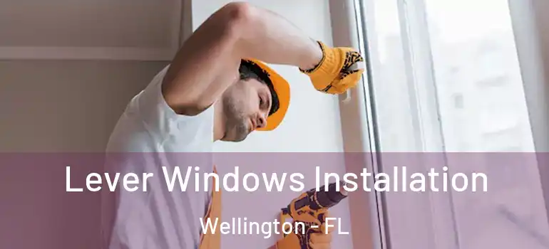  Lever Windows Installation Wellington - FL