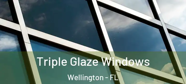  Triple Glaze Windows Wellington - FL