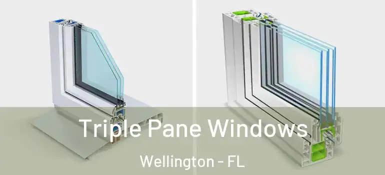  Triple Pane Windows Wellington - FL