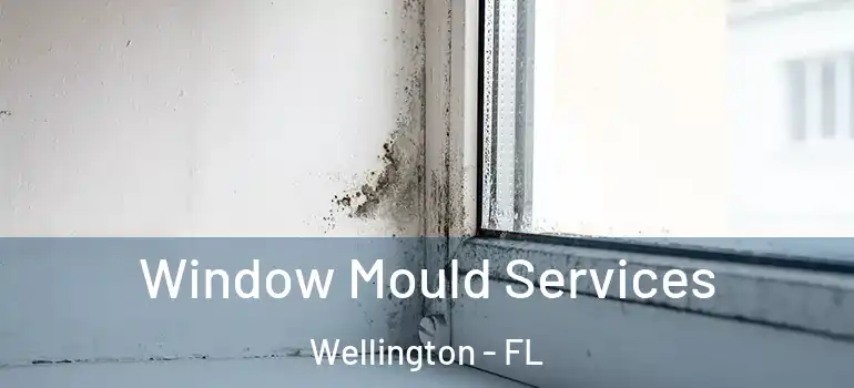  Window Mould Services Wellington - FL