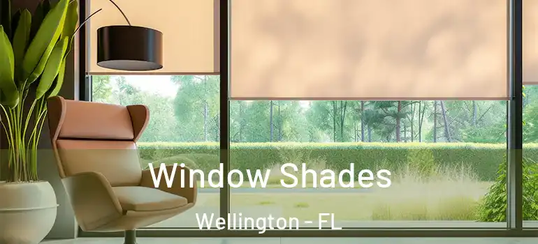 Window Shades Wellington - FL