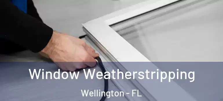 Window Weatherstripping Wellington - FL
